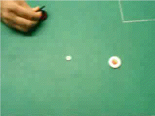 obstruccio.gif